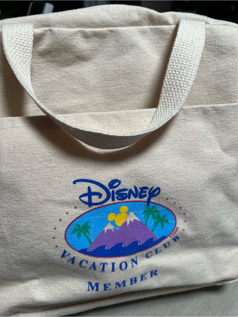 Disney Vacation Club Member Y2K Canvas Tote Bag - Picture 2 of 7